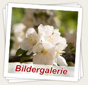 Bildergalerie